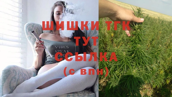 гидра Алзамай