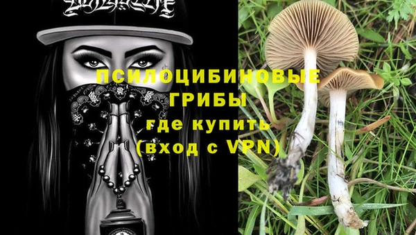 гидра Алзамай