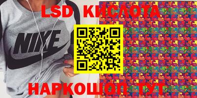 стафф Берёзовский