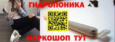 стафф Берёзовский