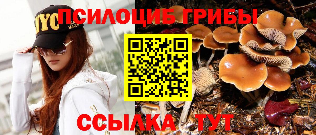 Псилоцибиновые грибы Magic Shrooms Дзержинск