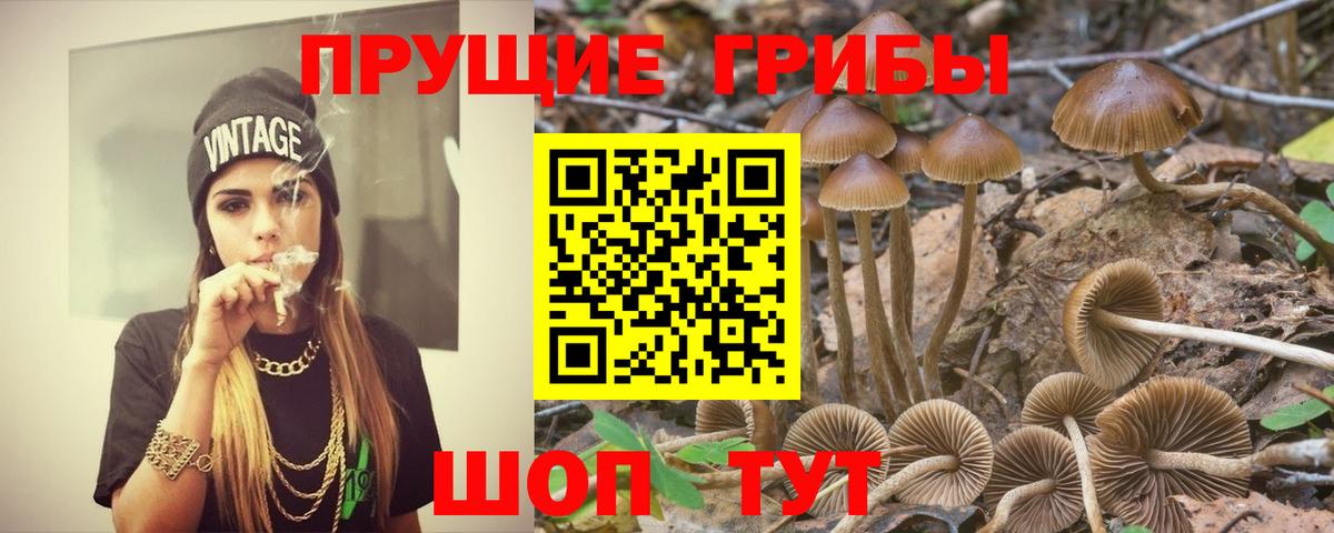 Дзержинск  Псилоцибиновые грибы Magic Shrooms  Вход с VPN 